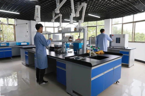 专业技术铸就专业服务 信息技术咨询服务