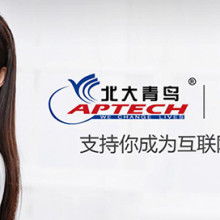 宁波市慈溪青鸾信息技术咨询有限责任公司专业服务概览